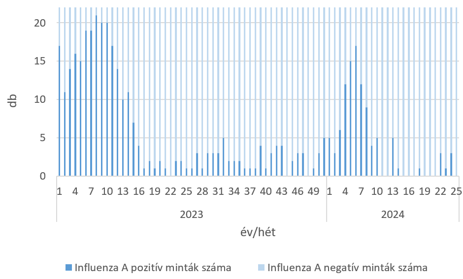 szennyviz 2024 25 6